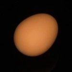 Uovo in plastica - Super Plastic Egg (Marrone)