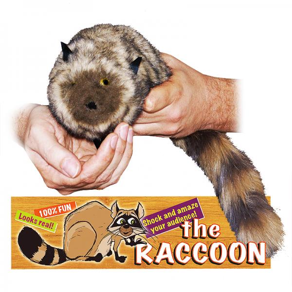 The Raccoon - 100% pelo sintetico