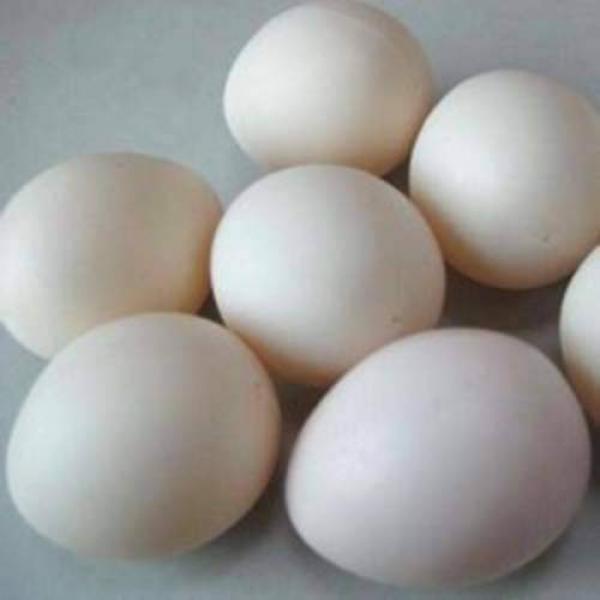 Uovo in plastica Super - Bianco Vuoto