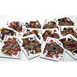 Bicycle Disruption Deck (Limited Edition) by Collectable Playing Cards 