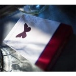 Butterfly Playing Cards Marked (Rosso) 2nd Edition by Ondrej Psenicka - mazzo segnato