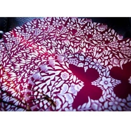 Butterfly Playing Cards Marked (Rosso) 2nd Edition by Ondrej Psenicka - mazzo segnato