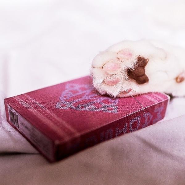 Mazzo di Carte Madison Kittens Playing Cards by Ellusionist