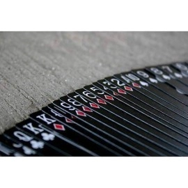 Mazzo di carte Bicycle Black Ghost by Ellusionist - con SOLOMAGIA Card Bag