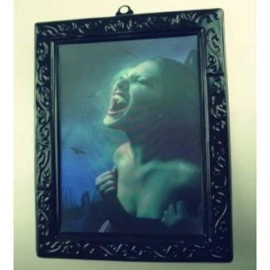 Changing Portrait Frame (5 Sets)