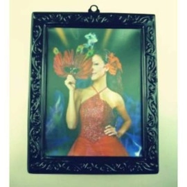 Changing Portrait Frame (5 Sets)