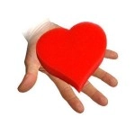 Sponge Love - Versione Standard