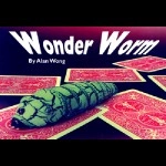 Wonder Worm by Alan Wong 