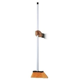 Apparizione della scopa