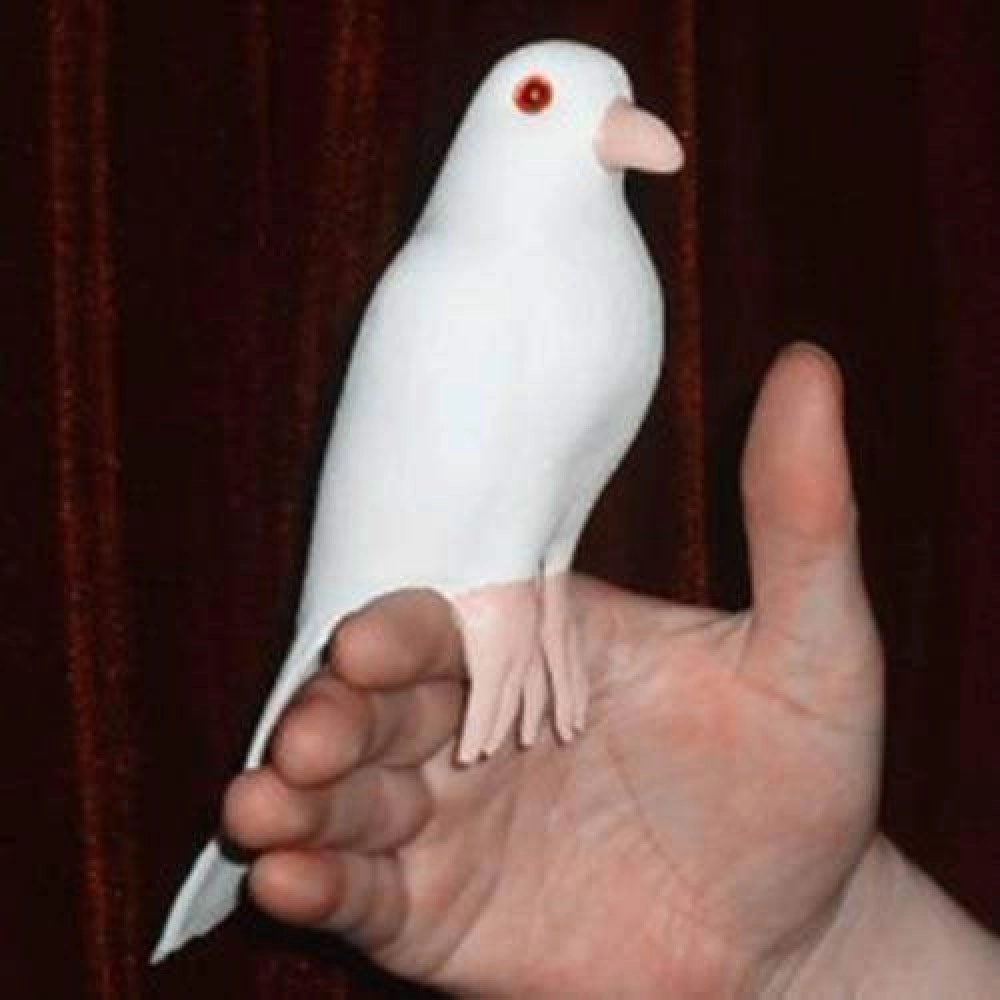 Dynamic Latex Dove
