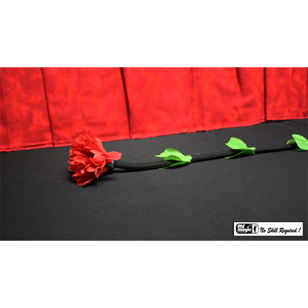 Fresh Flower by Mr. Magic