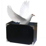 Tora Fire and Dove Box