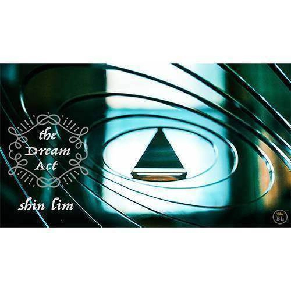 Dream Act by Shin Lim 