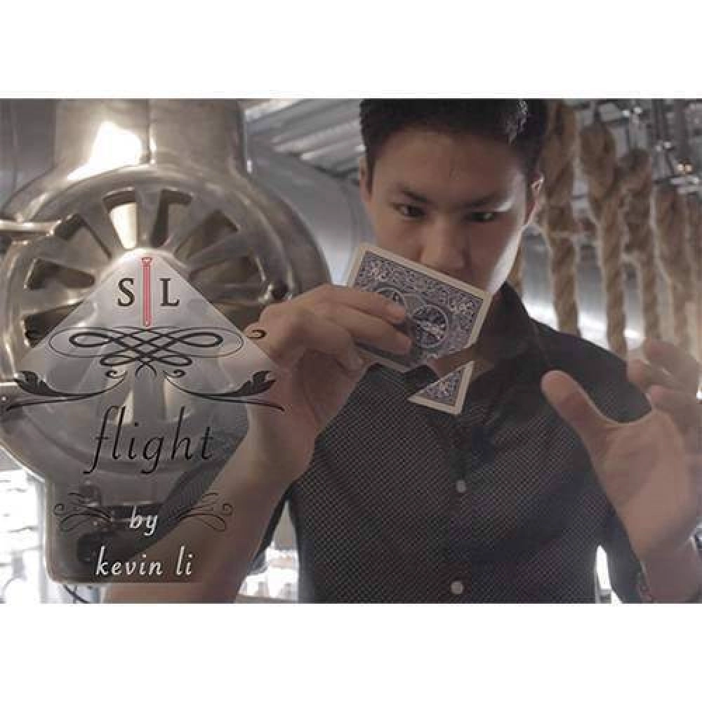 Flight by Kevin Li and Shin Lim 