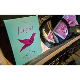 Flight by Kevin Li and Shin Lim 