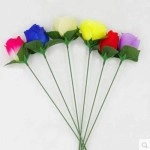 Da Torcia a Rosa - Rosa