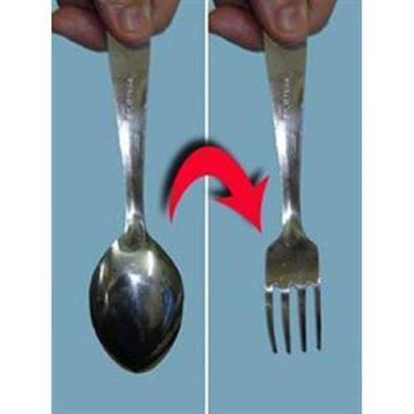 Da Cucchiaio a Forchetta - Spoon to Fork by Mr. Ma...