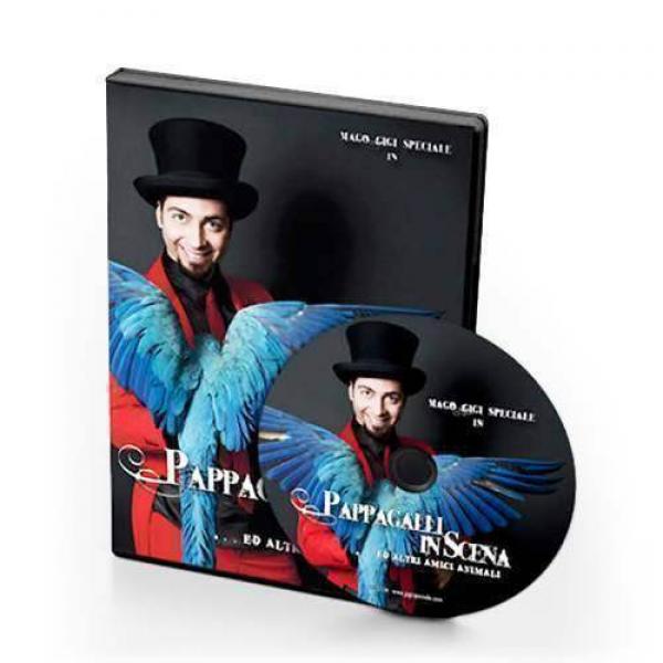 Gigi Speciale - Pappagalli in scena (DVD)