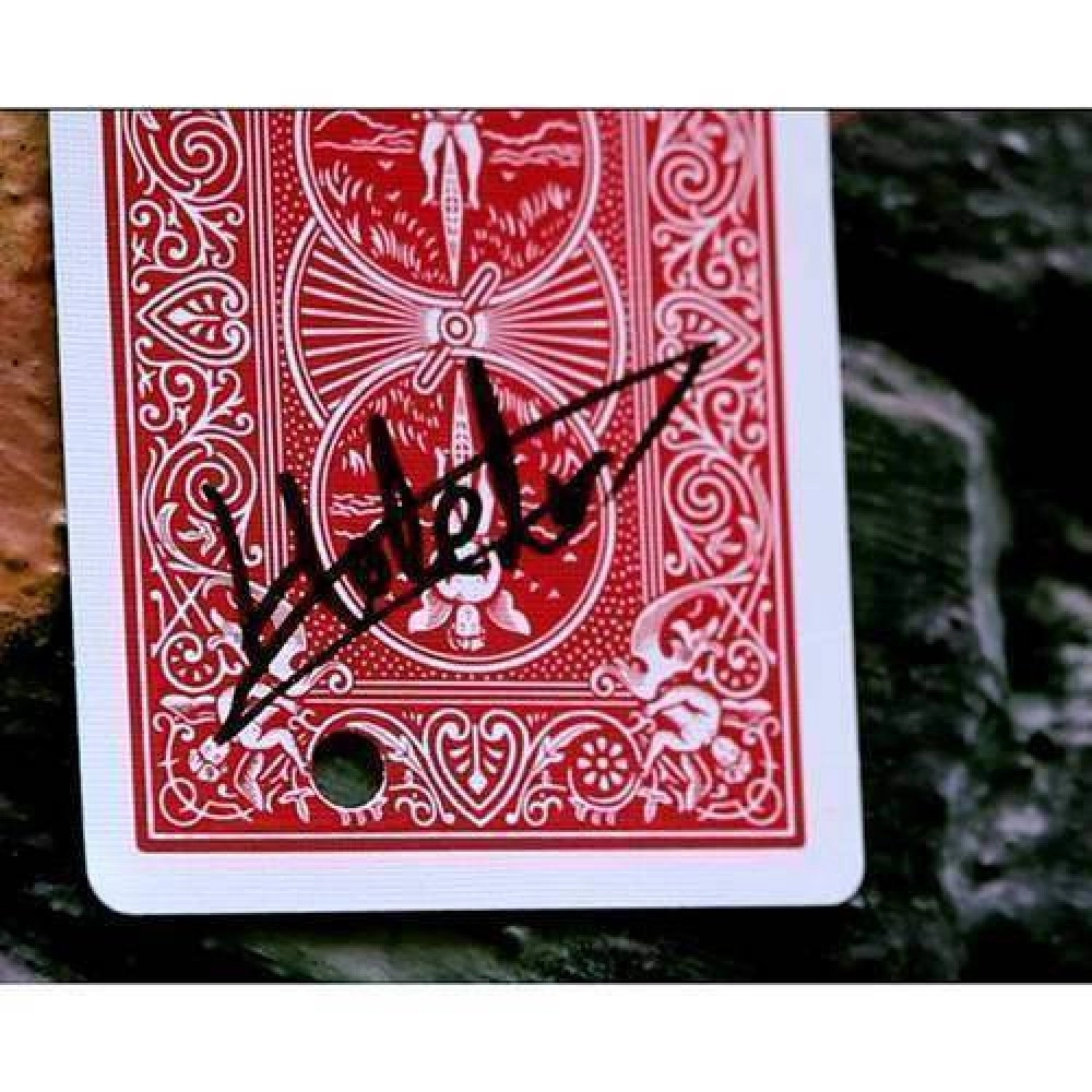 Holely by SansMinds (DVD & Gimmick) 