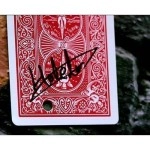 Holely by SansMinds (DVD & Gimmick) 