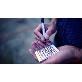 In Plain Sight (Gimmick and Online Instructions) by Matt Johnson