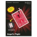 Angel's Flight by Andrew and Ednei Ernesto