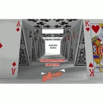 Cartomagia Expert by Raphael Seára (Portuguese Language) - Video DOWNLOAD