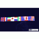 Chameleon Flag Streamer by Mr. Magic