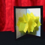 Chameleon Flower (Plastic) by Mr. Magic