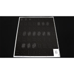 Darkfall Playing Card Uncut sheets