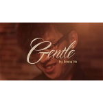 Gentle by Danny Ho (VE MA) - DVD