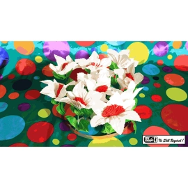 Dove Pan Botanica by Mr. Magic