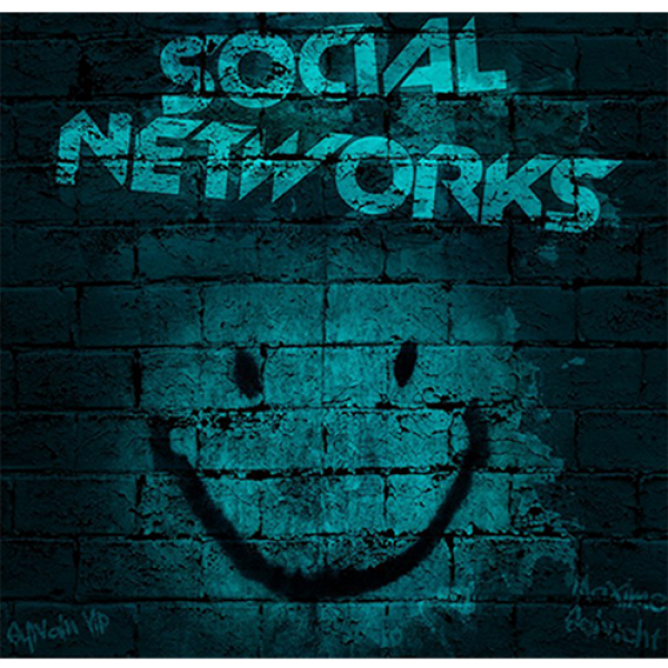 Social Networks by Sylvain Vip & Maxime Schuch...