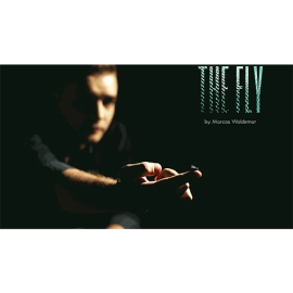 The FLY by Marcos Waldemar