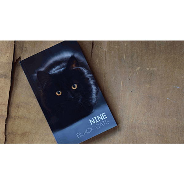 Nine Black Cats by Neemdog and Lorenzo - Libro