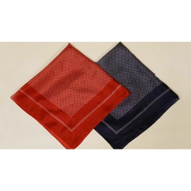 Syouma Silk (Navy Blue) by Tejinaya Magic