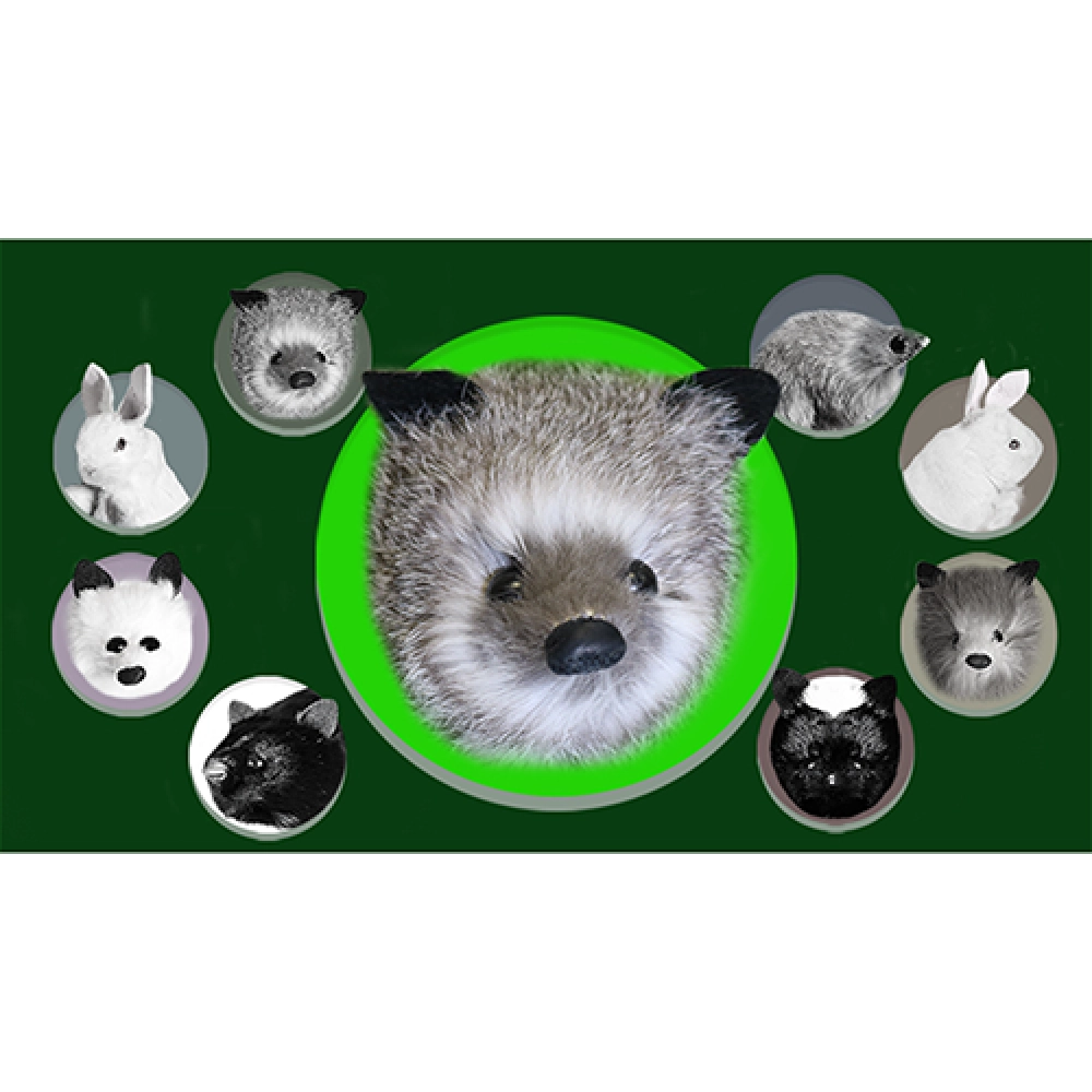 Silver Fox Spring Animal by Magic Masters