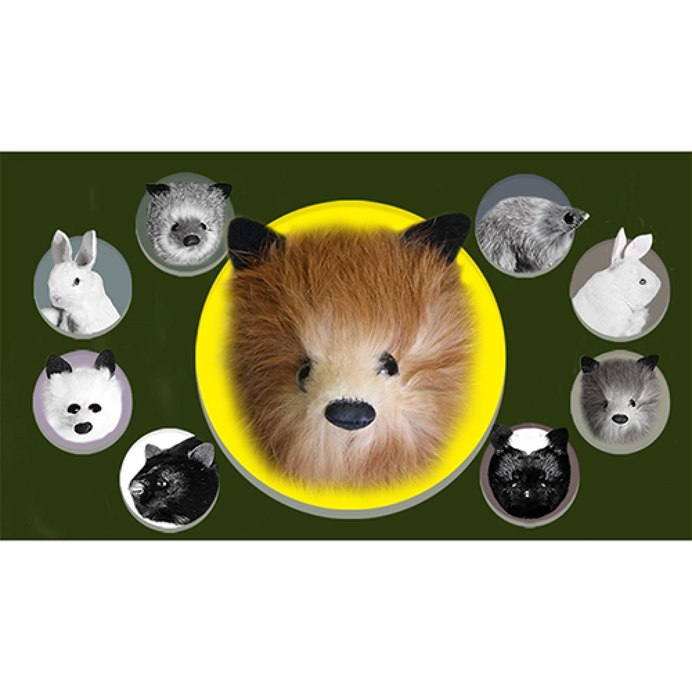 Red Fox Spring Animal by Magic Masters