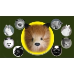 Red Fox Spring Animal by Magic Masters