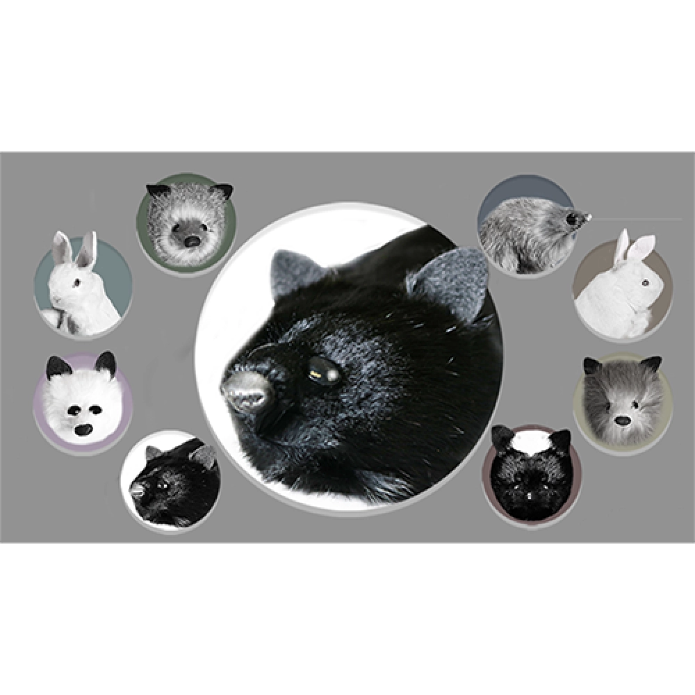 Black Fox Spring Animal by Magic Masters