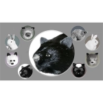 Black Fox Spring Animal by Magic Masters