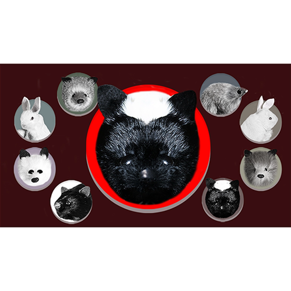 Skunk Spring Animal by Magic Masters