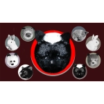 Skunk Spring Animal by Magic Masters