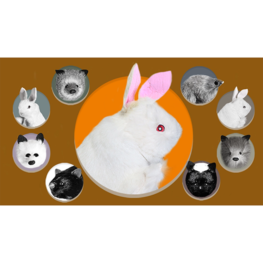 Rabbit Hand Puppet by Magic Masters