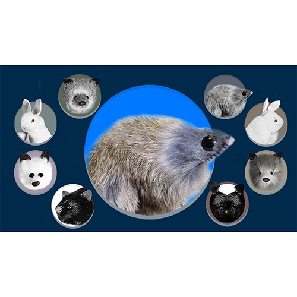 Judy Mouse Finger Puppet by Magic Masters