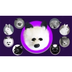 White Fox Spring Animal by Magic Masters