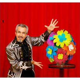 Vanishing Bouquet & Vase With Remote Control by Tora Magic