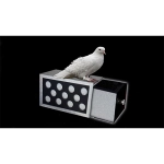 DRAWER BOX WITH HOLES (SILVER) by Tora Magic
