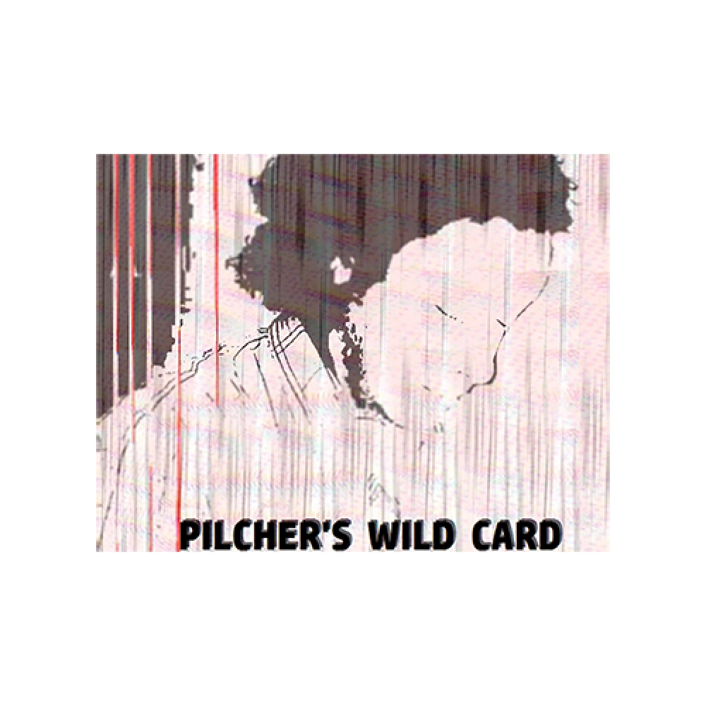 Pilcher's Wild Card by Matt Pilcher video DOWNLOAD