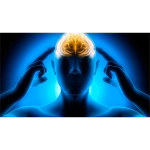 ROYLE'S REAL WORLD CENTER TEAR REVEAL by Jonathan Royle Mixed Media DOWNLOAD